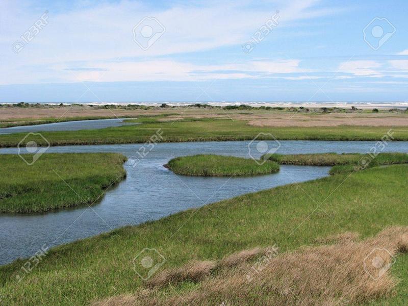 Zalety życia na mokradłach