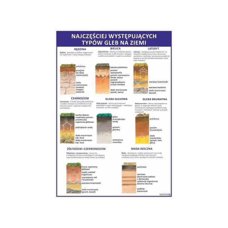 Bioróżnorodność ekosystemów