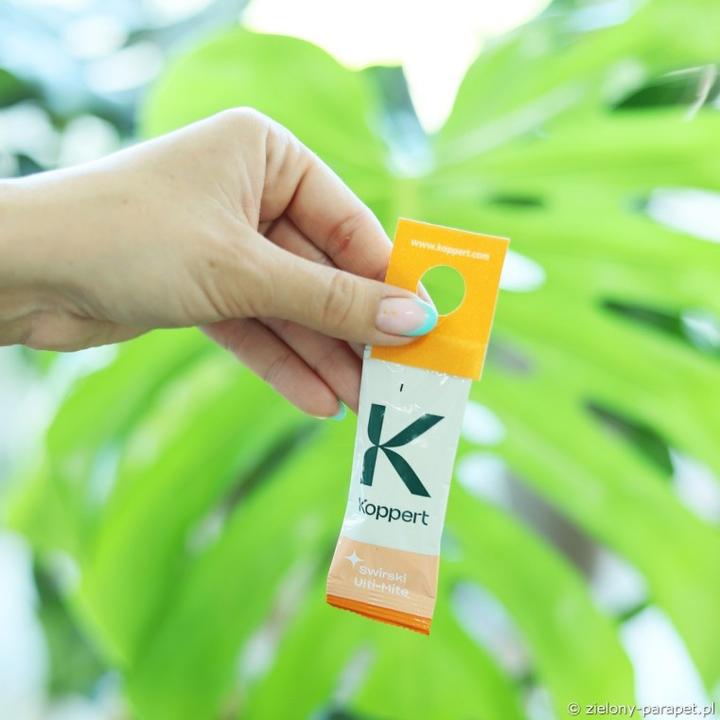 Fotografowanie makro