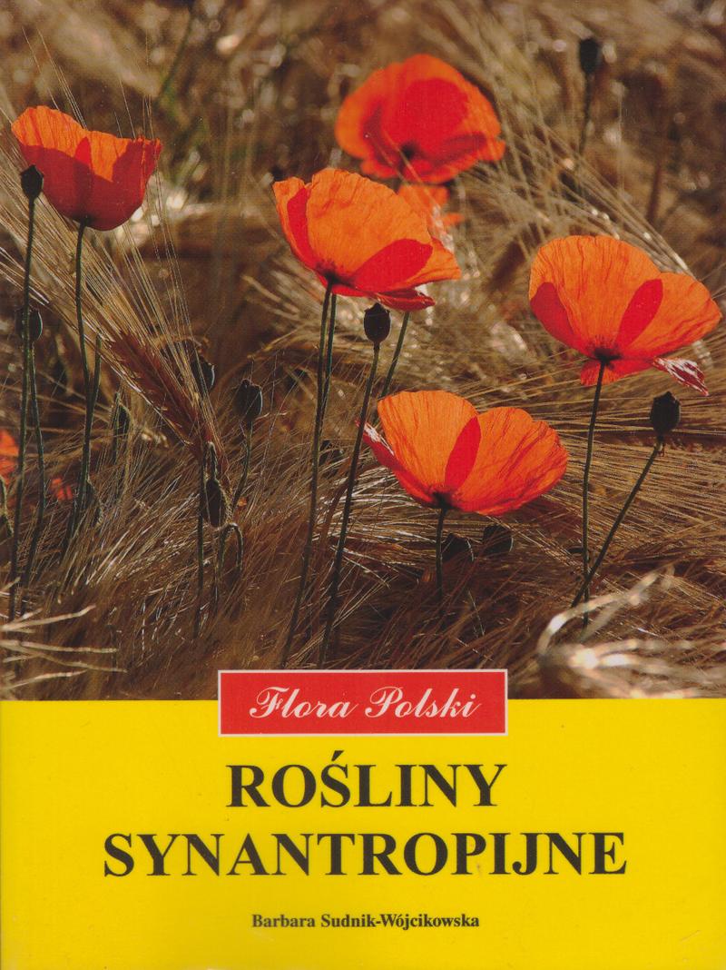 Jakość powietrza w miastach