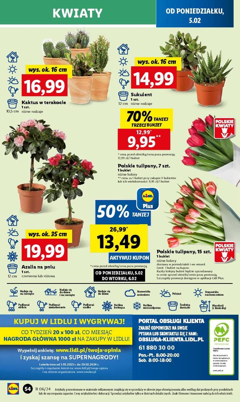 Lidl kwiaty aranżacja wnętrz