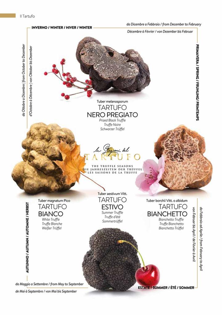 Ochrona trufli w ekosystemie