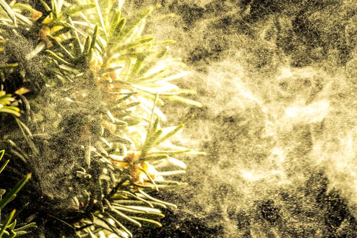 Wpływ na bioróżnorodność