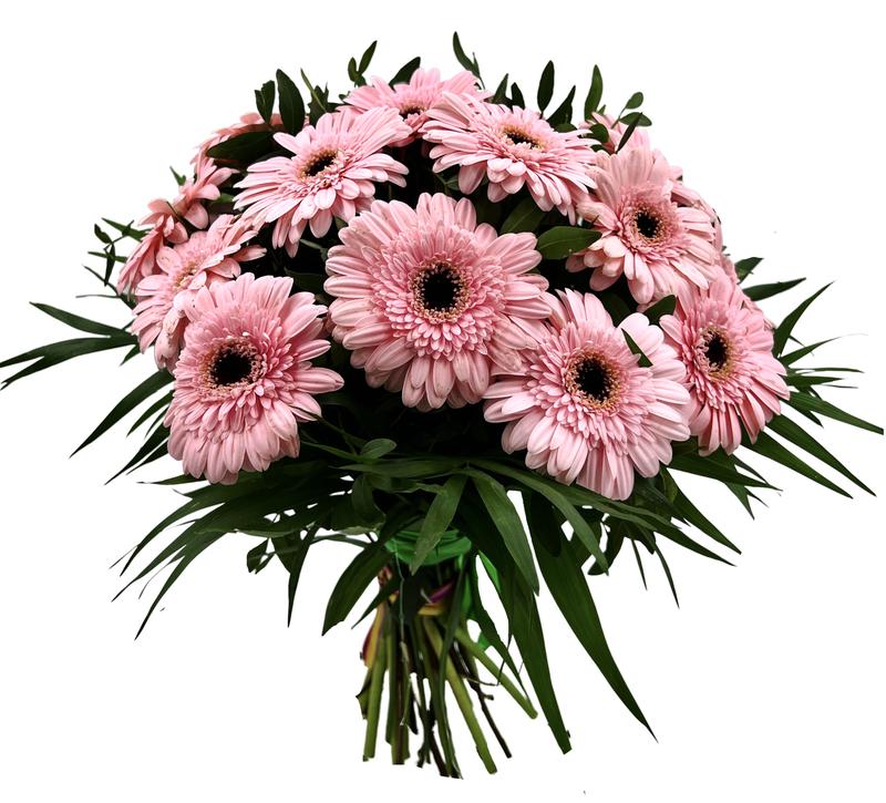 Wprowadzenie gerber do domu