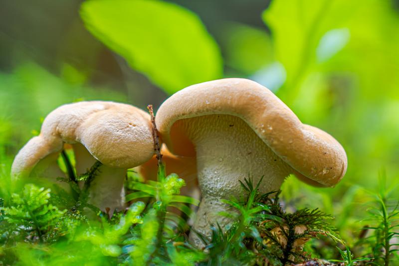 Zagrożenia dla przyrody