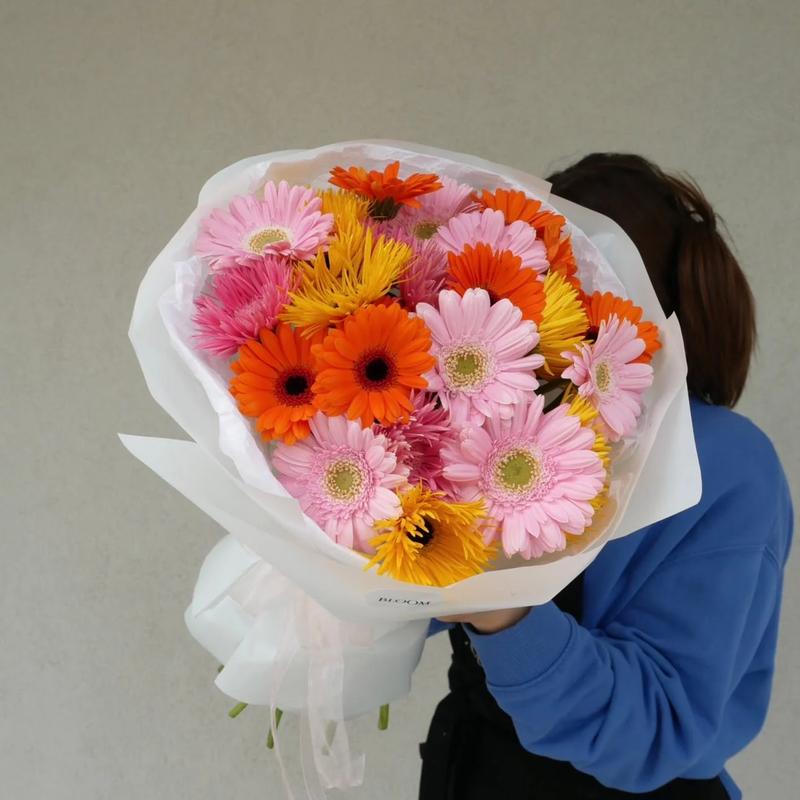 Magia kolorów gerber – jak wprowadzić je do swojego domu?