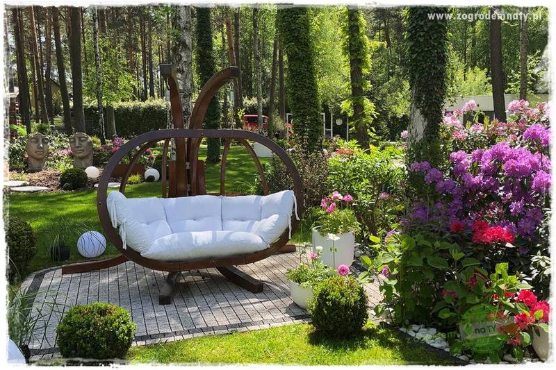 Gatunki roślin w cieniu iglaków