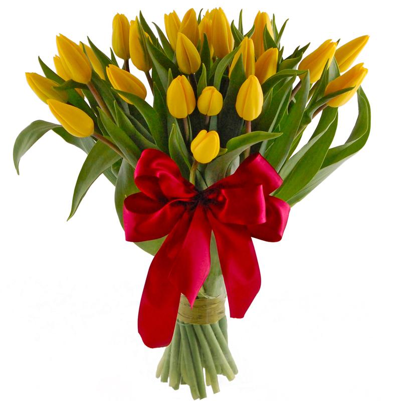 Kompozycje kwiatowe ogrodu