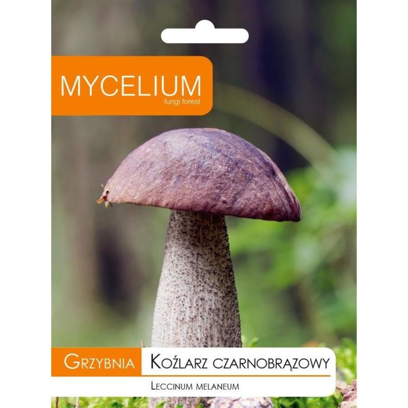 Kozlarz czarny w kulturze