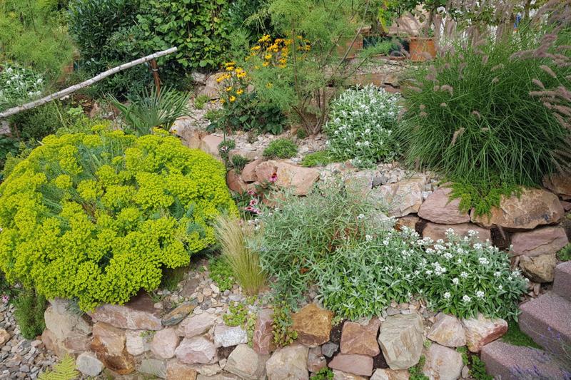 Ogród silnie nasłoneczniony