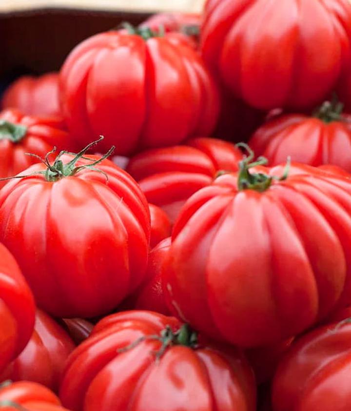 Porady dla ogrodników