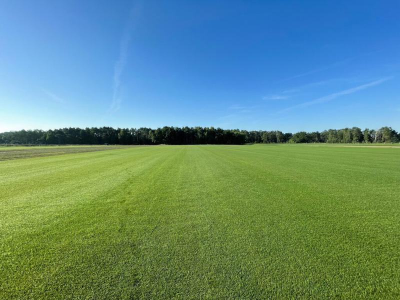 Przygotowanie gleby pod trawnik