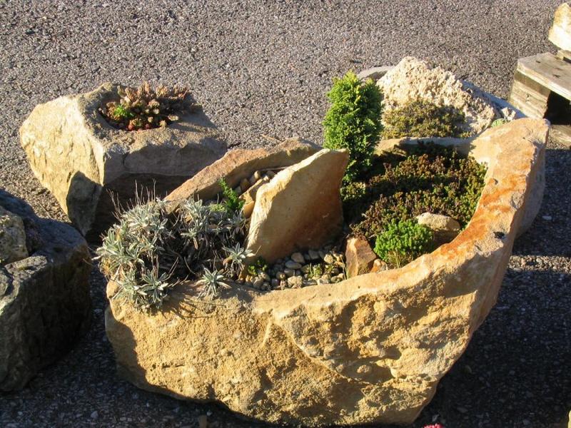 Skalniaki z piaskowca