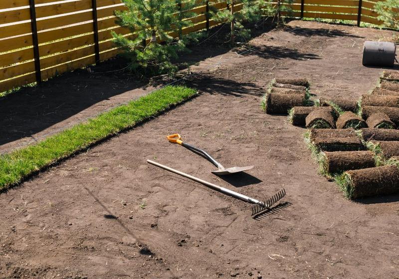 Trawnik krok po kroku