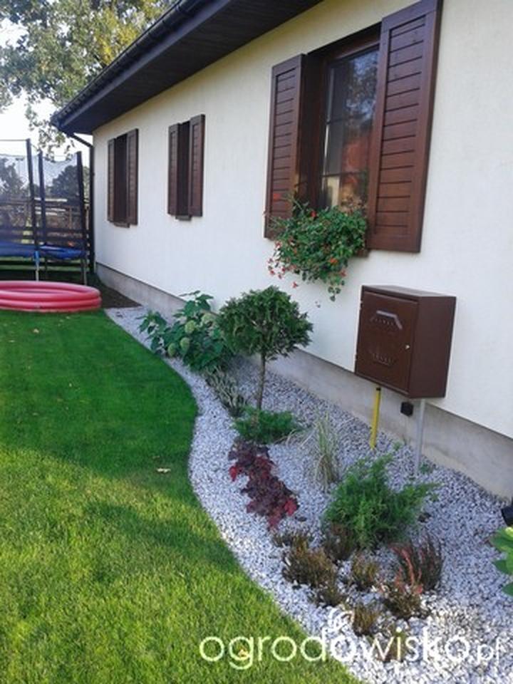 Zdrowotne korzyści zieleni