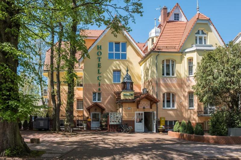 Cis – wyjątkowe drzewo, które odmieni Twój ogród