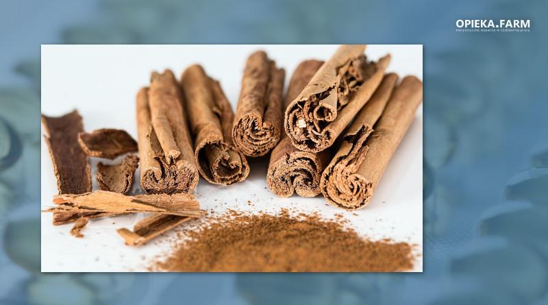 Cynamon cejloński historia