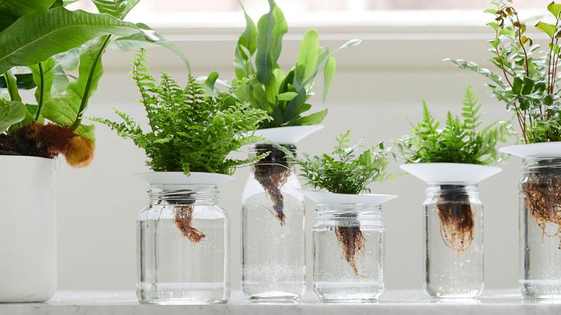 Ekologiczne systemy upraw