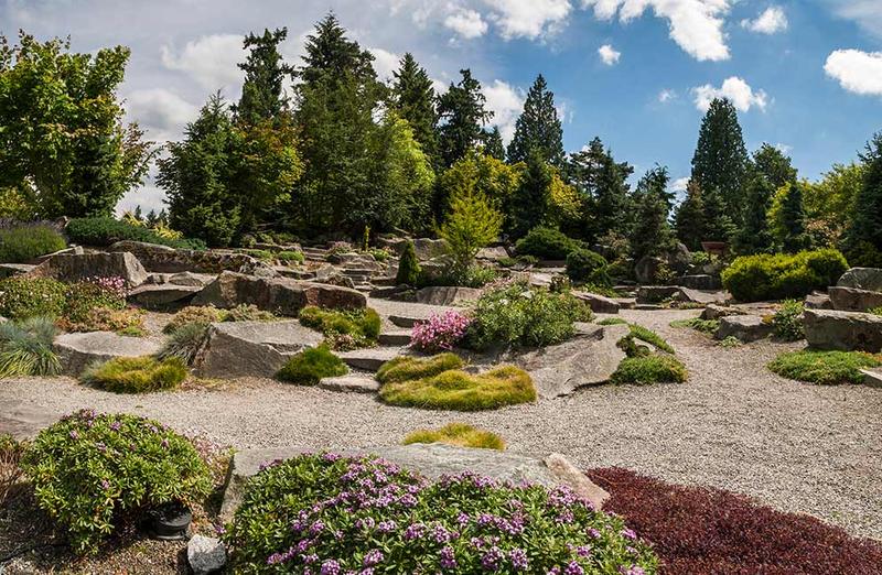 Górska flora w alpinarium