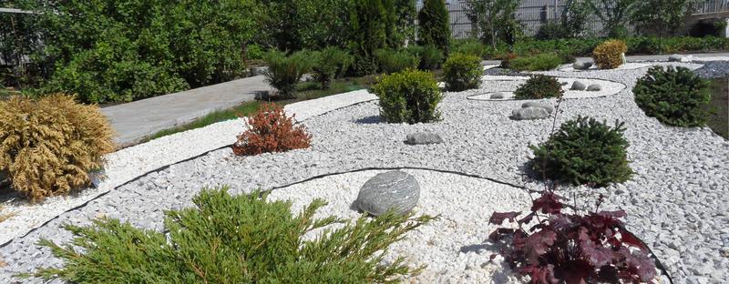 Kompozycje roślinne