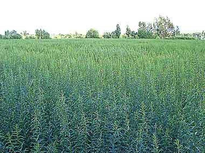 Nowe technologie energii