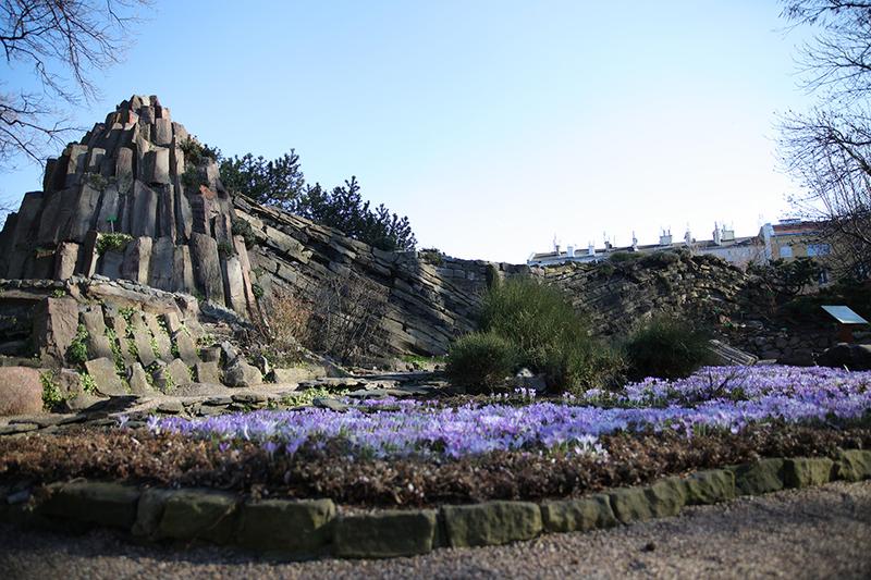 Ochrona bioróżnorodności w alpinarium