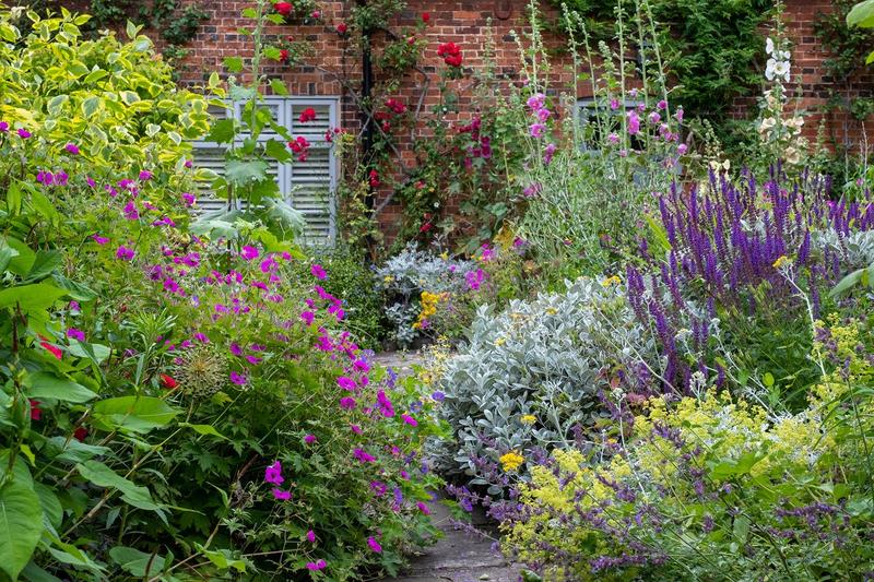 Rośliny sąsiadujące z berberysami