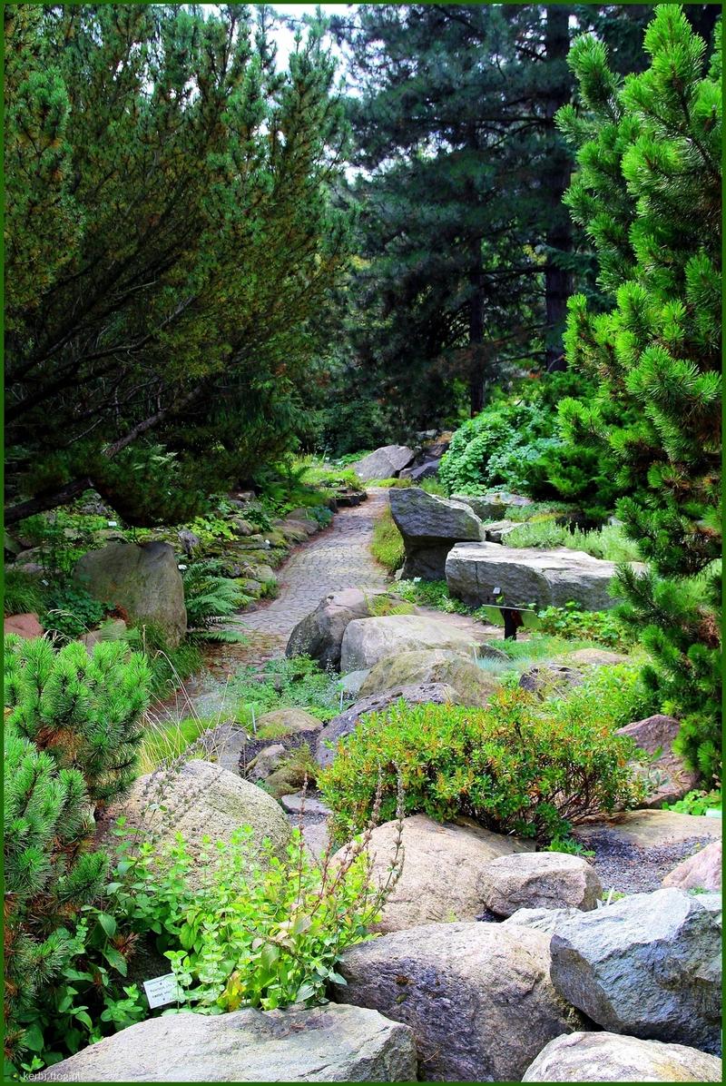 Sztuka i natura w alpinarium