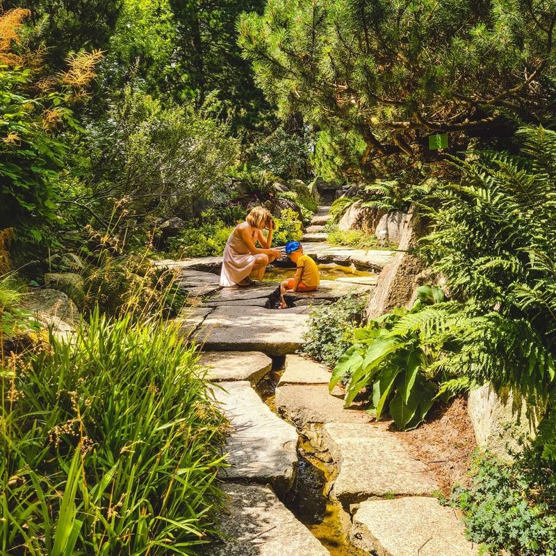 Tworzenie alpinarium w ogrodzie