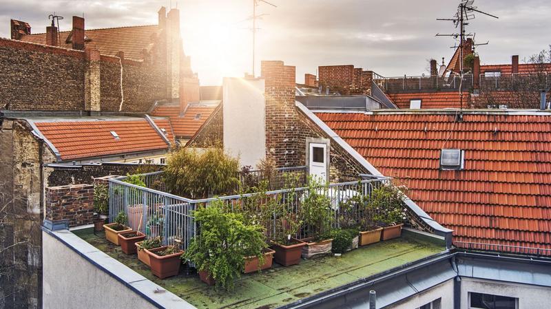 Zagospodarowanie przestrzeni dachowej