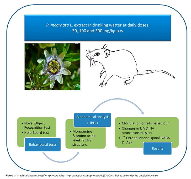 Zdrowotne korzyści passiflory