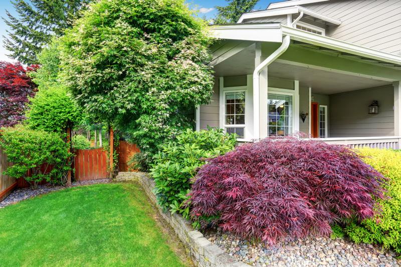 Znaczenie roślin w kulturach