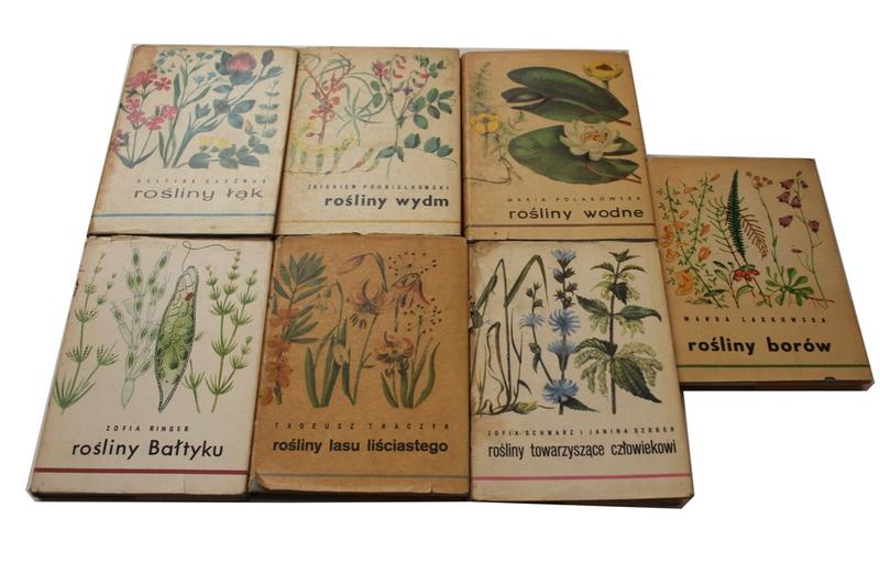 Co posadzić obok berberysów, aby stworzyć piękną kompozycję?