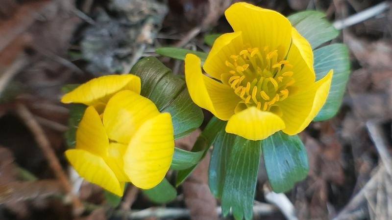 Bioróżnorodność i ochrona przyrody