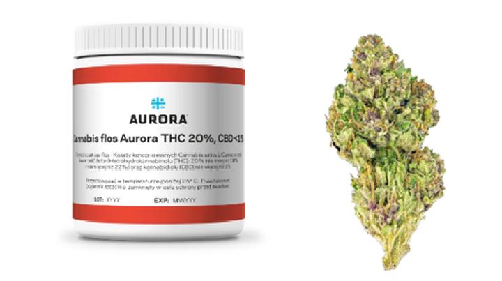 Medyczne zastosowanie konopi