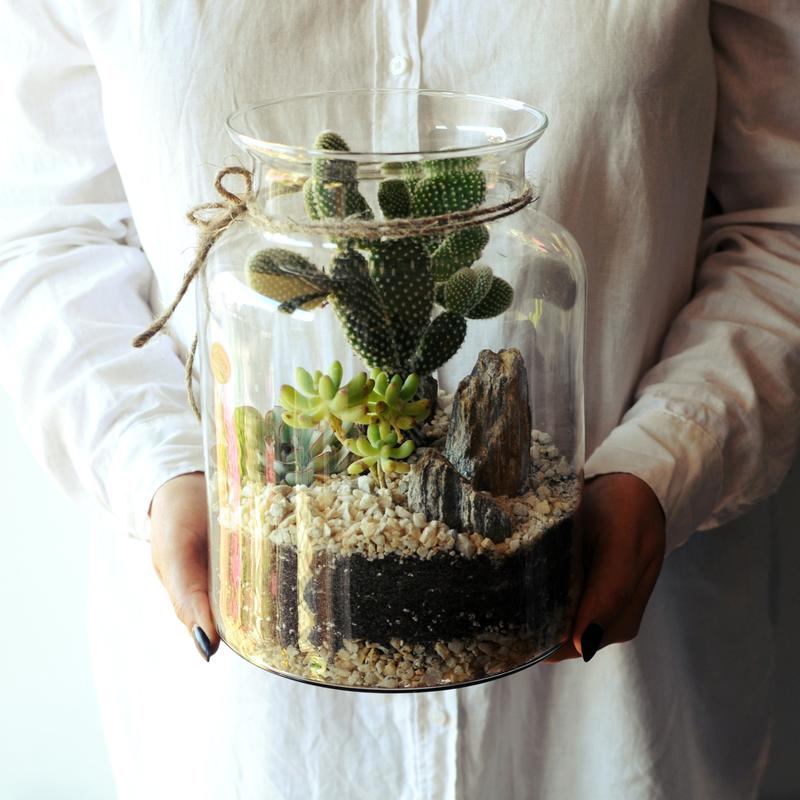 Ogrodnictwo w miniaturze poradnik