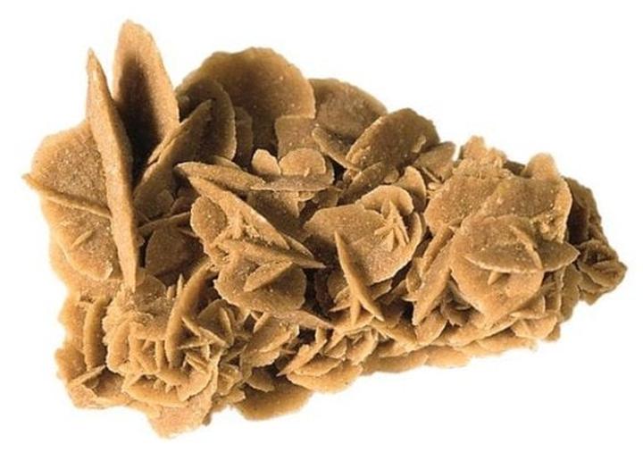 Róża pustyni w kulturze