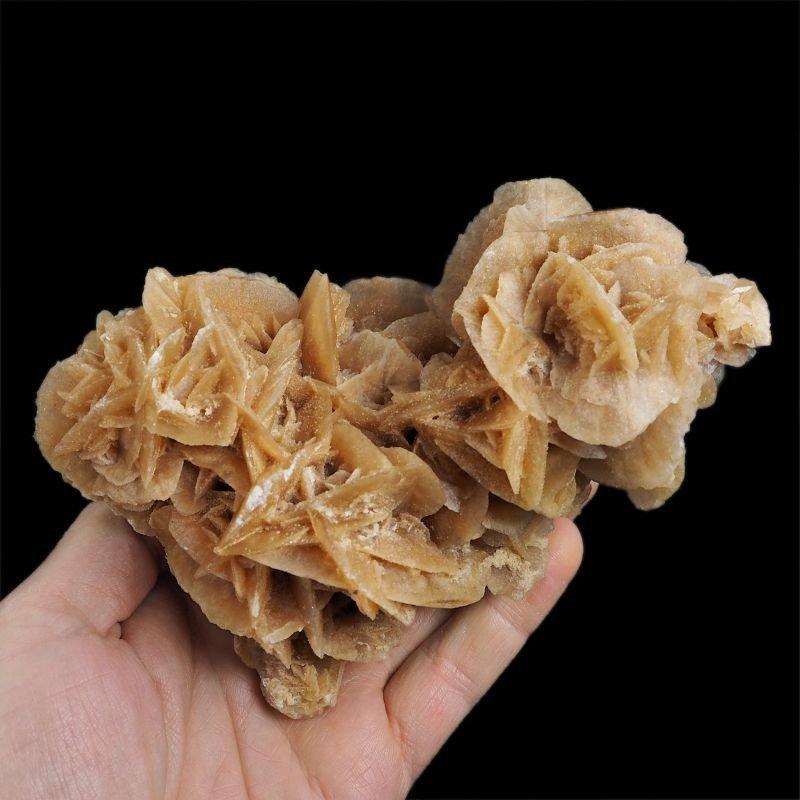 Tajemnice róży pustyni