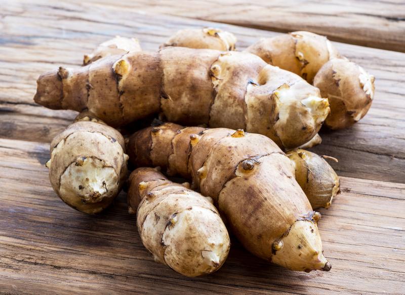 Uprawa topinamburu w ogrodzie