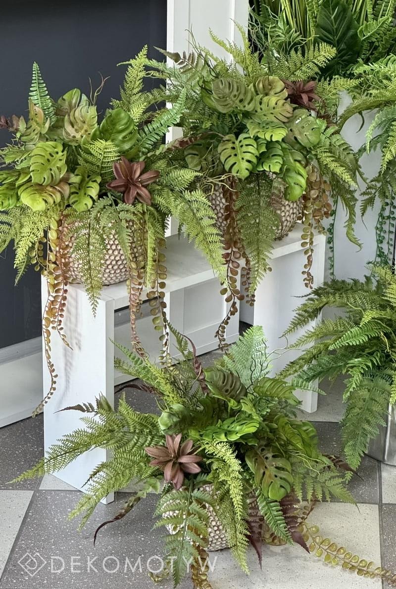 Warunki atmosferyczne dla paprotek