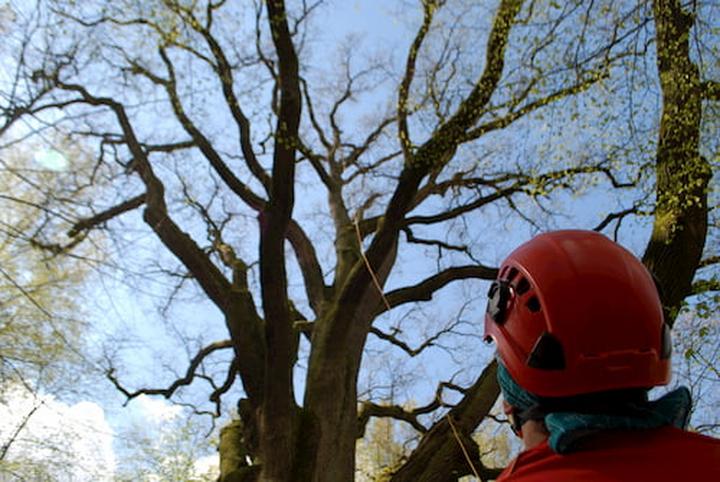 Wpływ wody światła i gleby