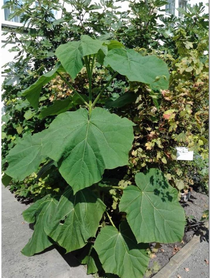 Ekologiczne praktyki ogrodnicze