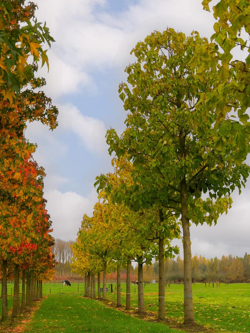 Nowoczesne technologie ogrodnicze