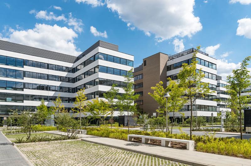 Organizacja domowego biura na zewnątrz