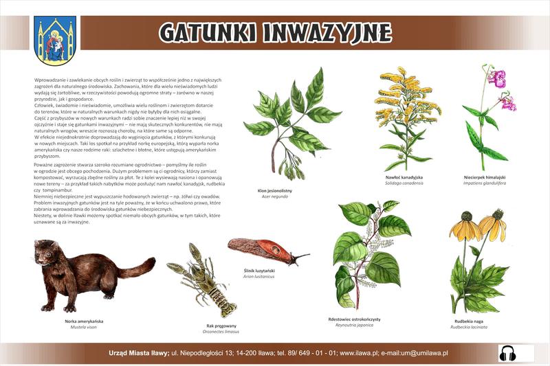 Zagrożenia dla bioróżnorodności