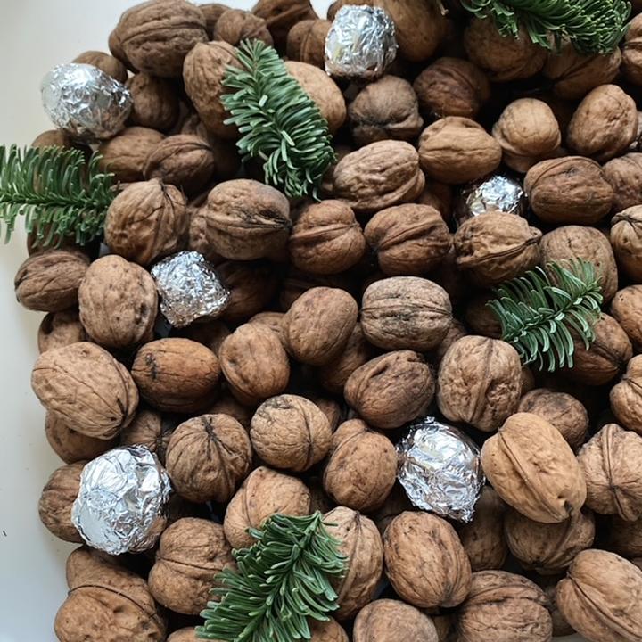 Co smakuje wiewiórkom? Odkrywamy ich ulubione przysmaki