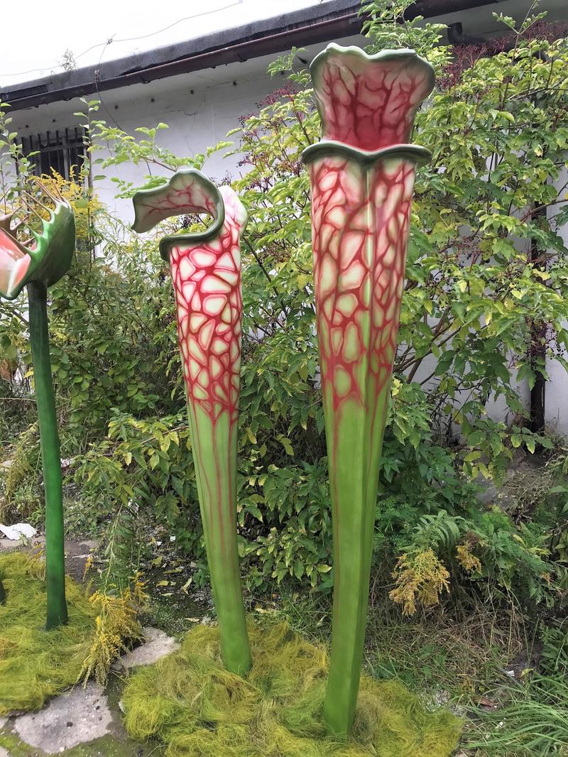 Mechanizmy pułapek roślinnych