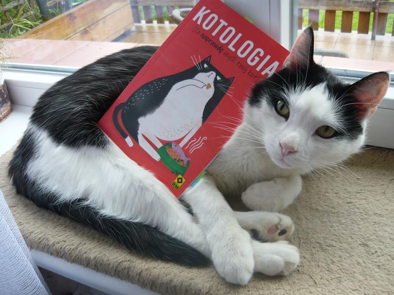 Psychologia kota i potrzeby