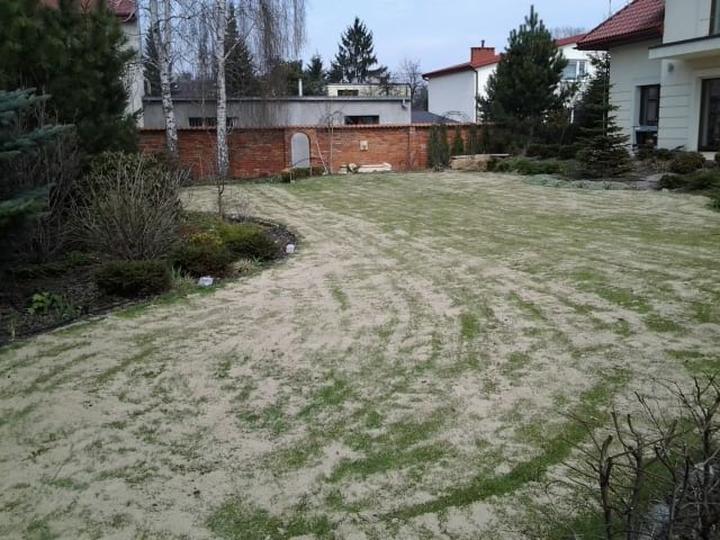 Jak piaskowanie trawnika odmienia wygląd Twojego ogrodu?