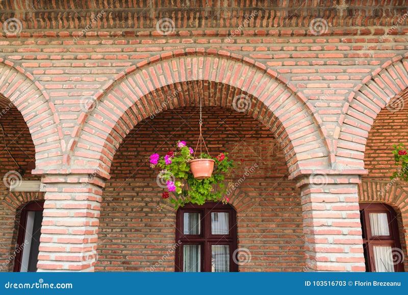 Kompozycje ogrodowe z bodziszkiem czerwonym